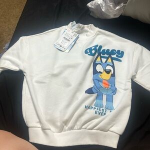 Bluey sweater